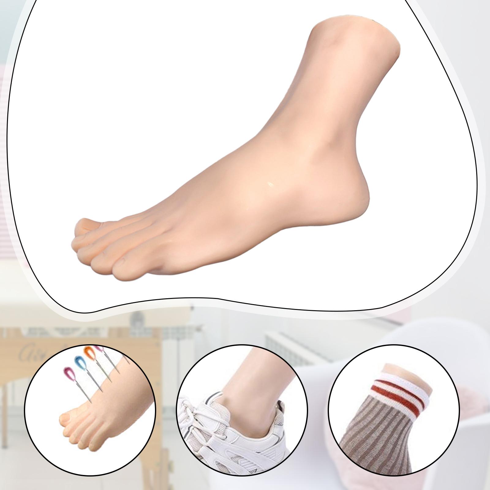 โมเดลเท้าหุ่นพีวีซีสำหรับโชว์ถ - Body Jewelry Shop บทวิจารณ์และราคา