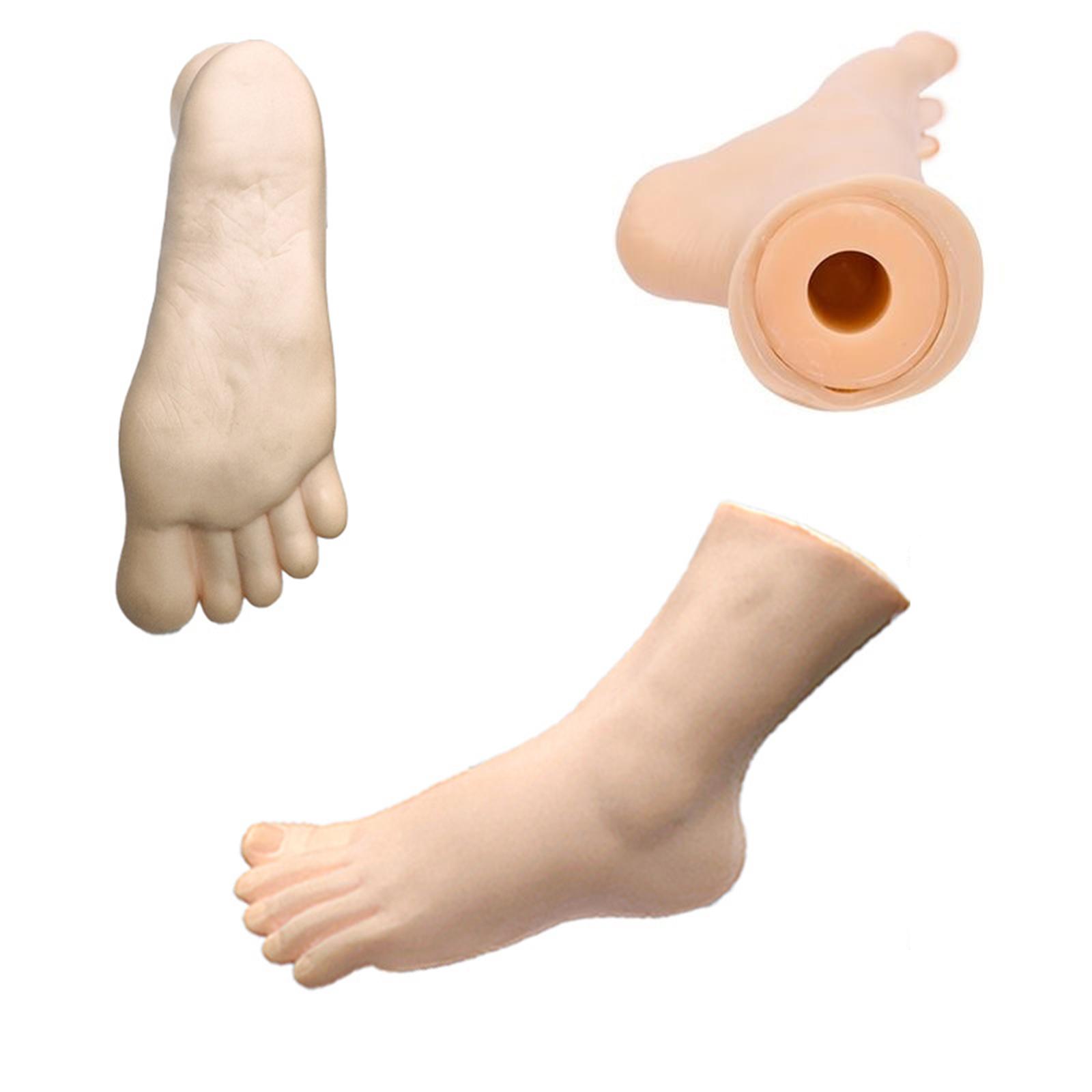 โมเดลเท้าหุ่นพีวีซีสำหรับโชว์ถ - Body Jewelry Shop บทวิจารณ์และราคา